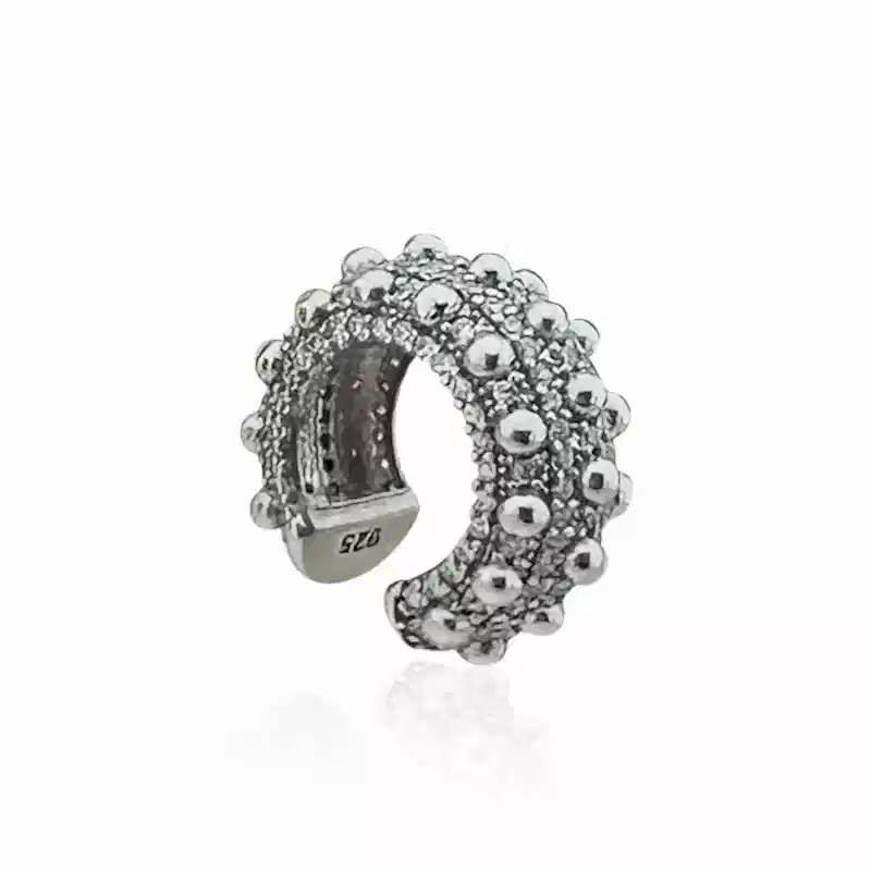 Betty Taşlı Kıkırdak Küpesi - 1