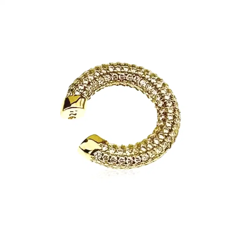 Taşlı Kıkırdak Küpe - 1