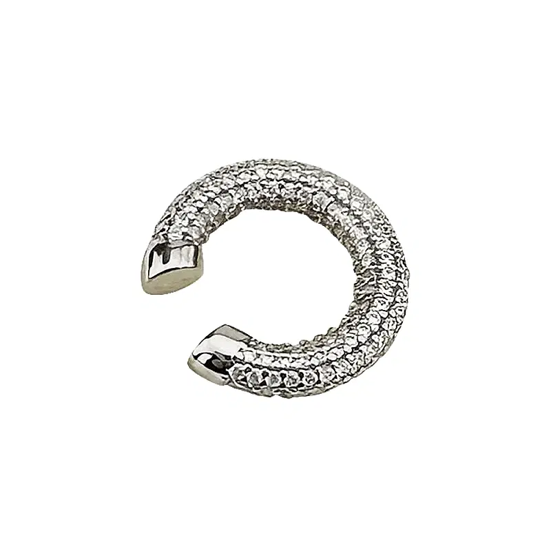 Taşlı Kıkırdak Küpe - 3