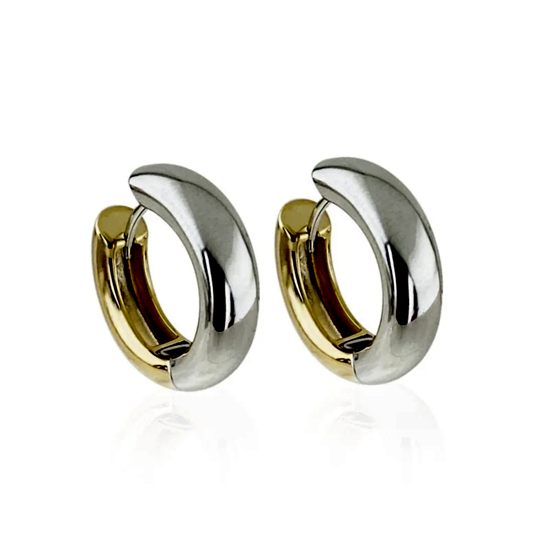 Çift Renk Halka Küpe - 1