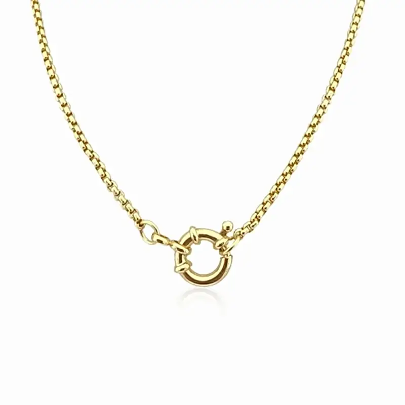 İtalyan Kilitli Zincir - 50 cm - 1